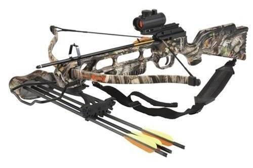 recurve vs compound