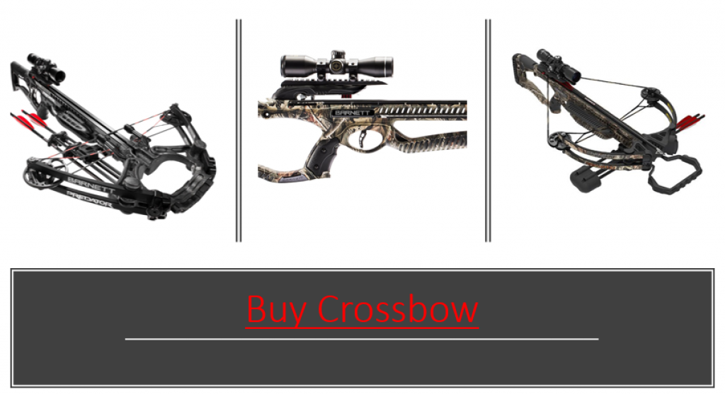 where to buy crossbow