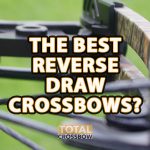 top reverse limb xbows