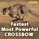 what is the most powerful crossbows