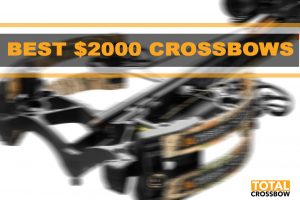 buy crossbow for 2000