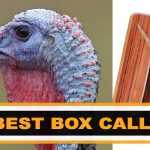 turkey box style call reviews