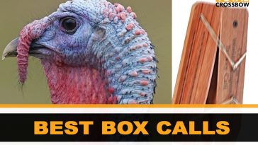 turkey box style call reviews