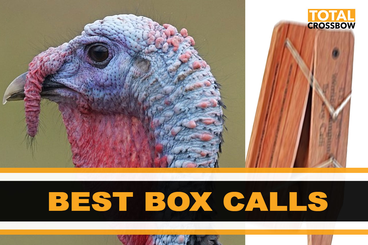 Best Turkey Box Calls 2021