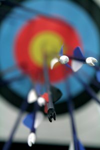 premium targets for crossbows