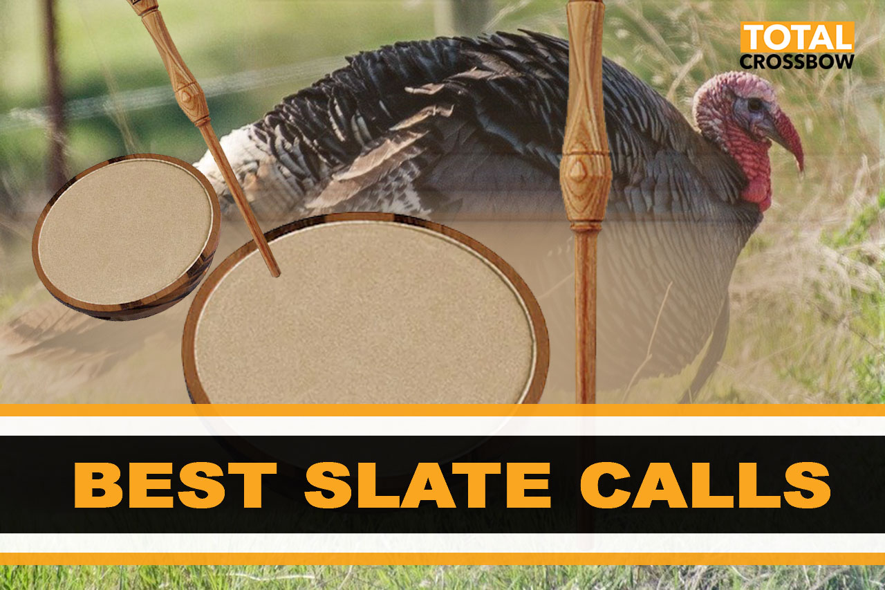 Best Turkey Pot & Slate Calls