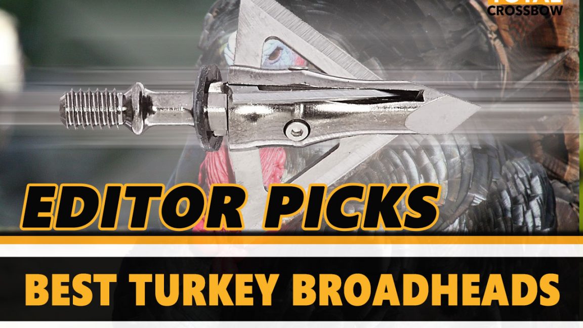 The Best Crossbow Broadheads For Hunting In 2021
