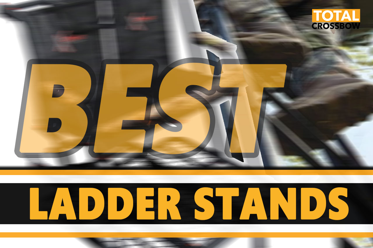 best ladder stand reviews